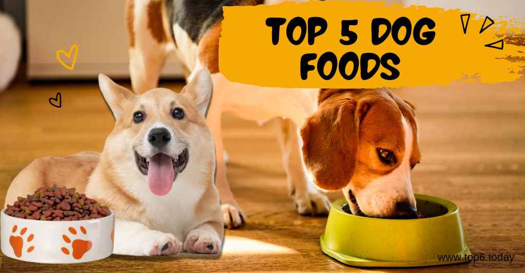 Top 5 Dog Foods in 2024