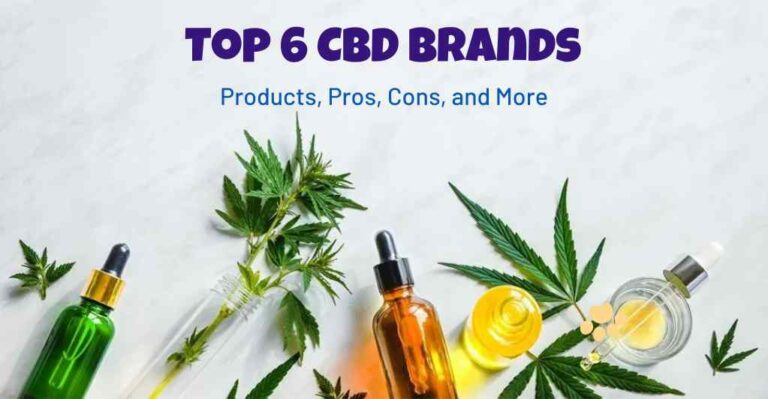 Top 6 CBD Brands: Products, Pros, Cons, and More